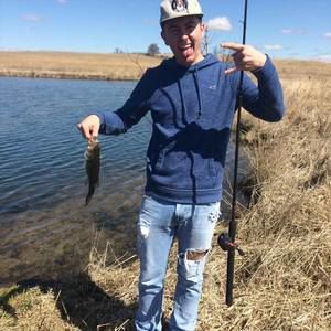 Meet your Posher, Harrison